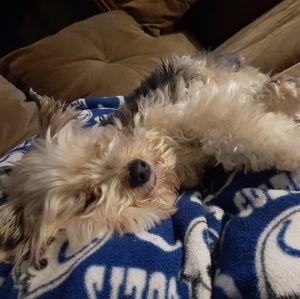 Meet your Posher, Grace